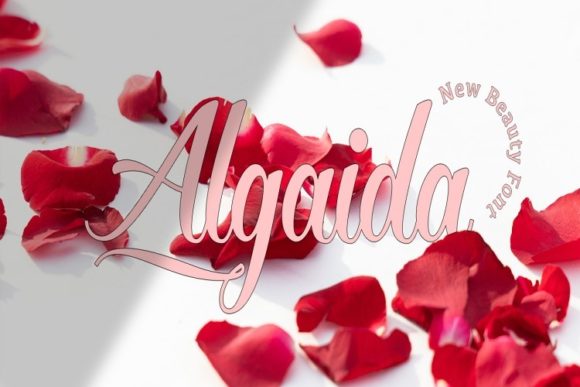 Algaida: A Modern Script Font for Editorial Elegance