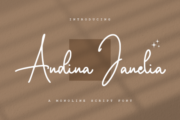 Andina Janelia: A Modern Script Font for Polished Branding