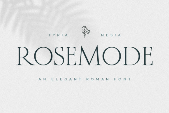 Rosemode Serif Font Review for Design Projects