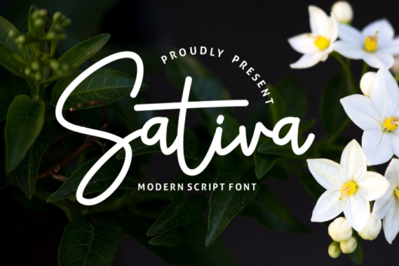 Sativa Font for Campaign Creativity